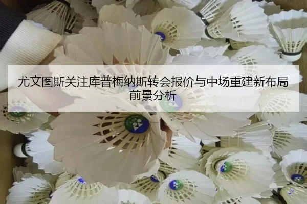 尤文图斯关注库普梅纳斯转会报价与中场重建新布局前景分析