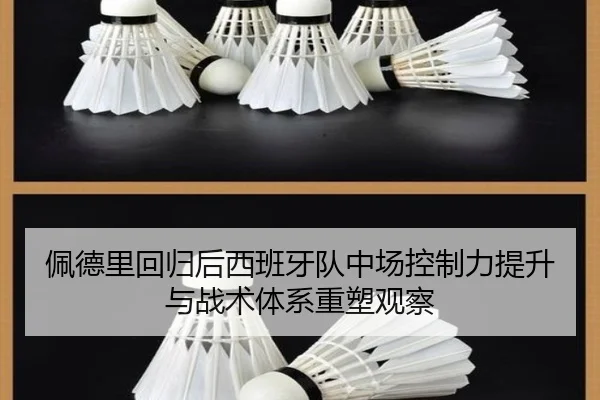 佩德里回归后西班牙队中场控制力提升与战术体系重塑观察