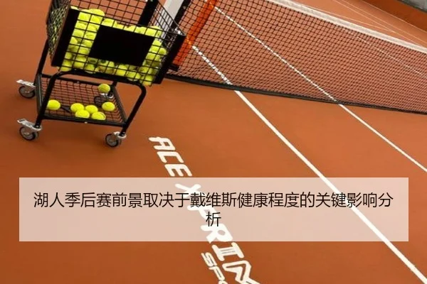 湖人季后赛前景取决于戴维斯健康程度的关键影响分析